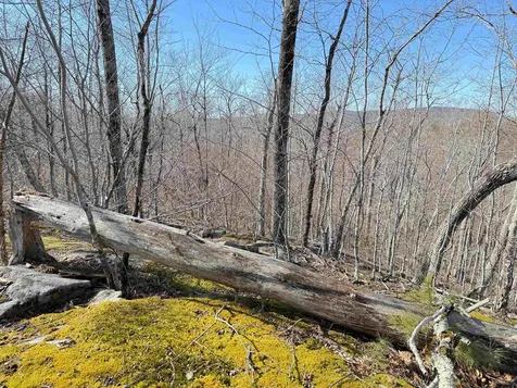 Map 3 Lot 18-2b And 18-2c Water Street Strafford NH 03884