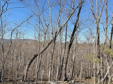 Map 3 Lot 18-2b And 18-2c Water Street Strafford NH 03884