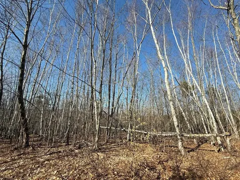 Map 3 Lot 18-2b And 18-2c Water Street Strafford NH 03884