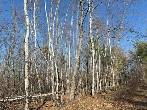 Map 3 Lot 18-2b And 18-2c Water Street Strafford NH 03884