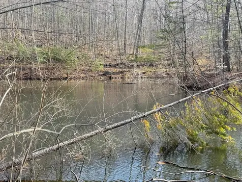 Map 3 Lot 18-2b And 18-2c Water Street Strafford NH 03884