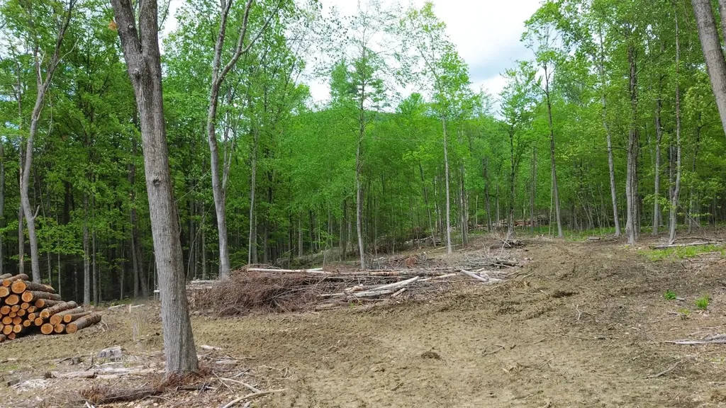 Lot 26-4 Plain Road Hinsdale NH 03451