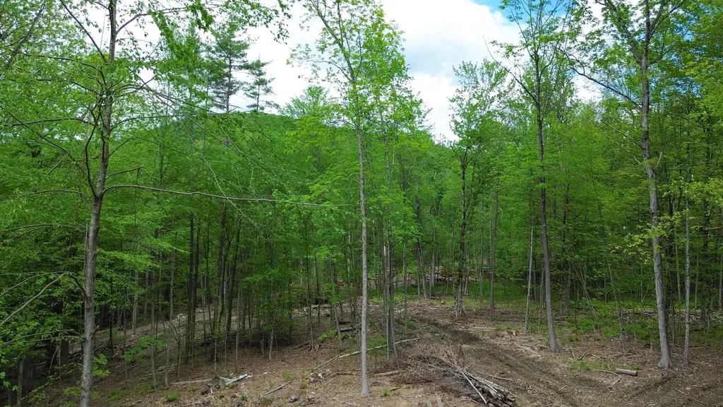 Lot 26-4 Plain Road Hinsdale NH 03451