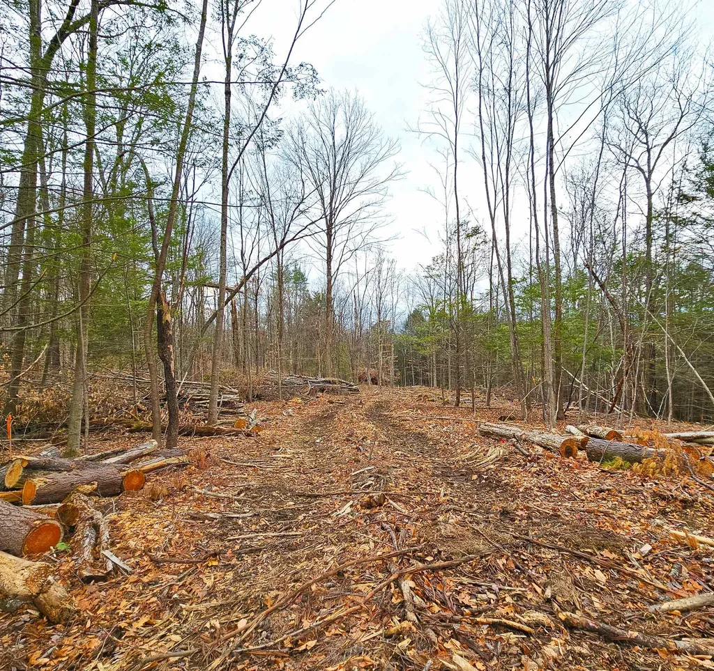 Lot 26-4 Plain Road Hinsdale NH 03451