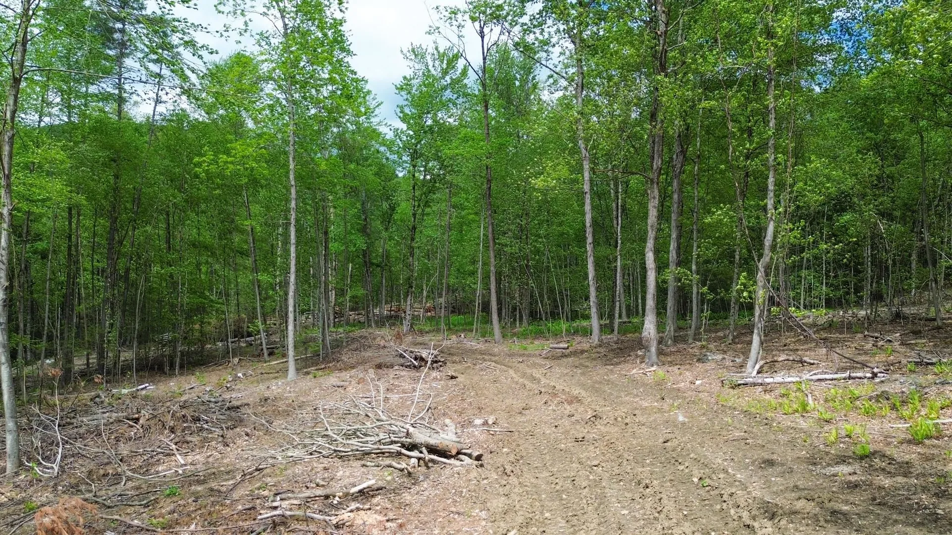 Lot 26-4 Plain Road Hinsdale NH 03451