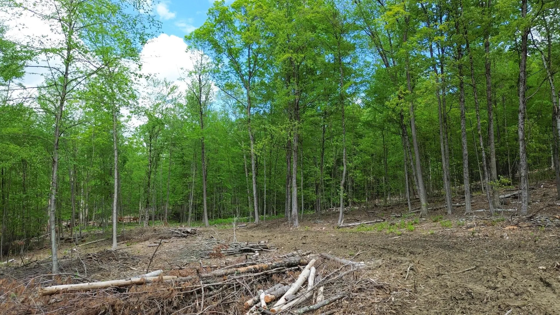 Lot 26-4 Plain Road Hinsdale NH 03451