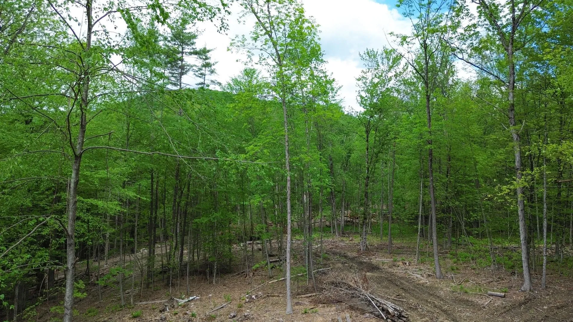 Lot 26-4 Plain Road Hinsdale NH 03451