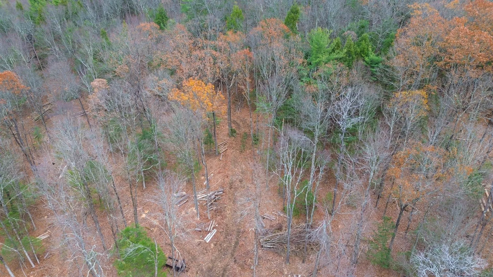 Lot 26-4 Plain Road Hinsdale NH 03451