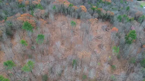 Lot 26-4 Plain Road Hinsdale NH 03451