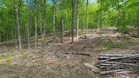 Lot 26-4 Plain Road Hinsdale NH 03451