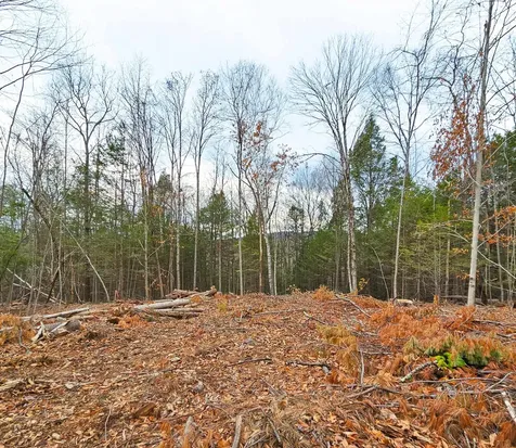 Lot 26-4 Plain Road Hinsdale NH 03451