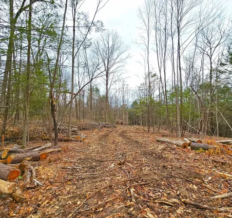 Lot 26-4 Plain Road Hinsdale NH 03451