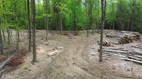 Lot 26-4 Plain Road Hinsdale NH 03451