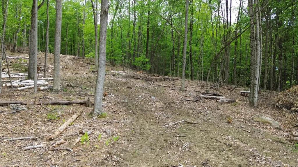 Lot 26-3 Plain Road Hinsdale NH 03451