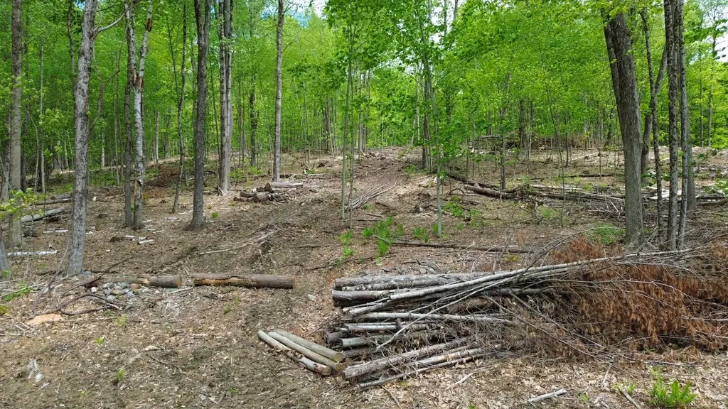 Lot 26-3 Plain Road Hinsdale NH 03451