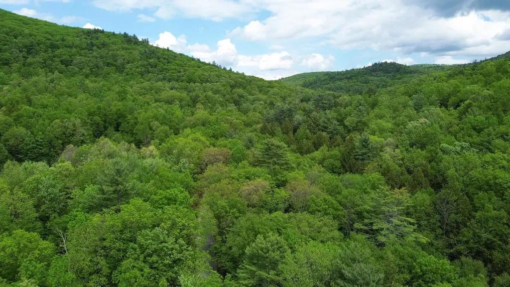 Lot 26-3 Plain Road Hinsdale NH 03451