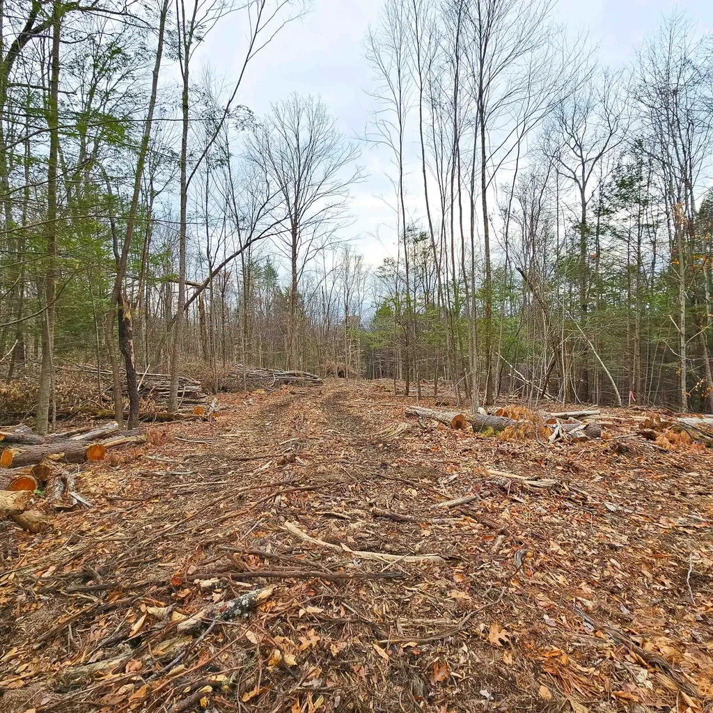 Lot 26-3 Plain Road Hinsdale NH 03451