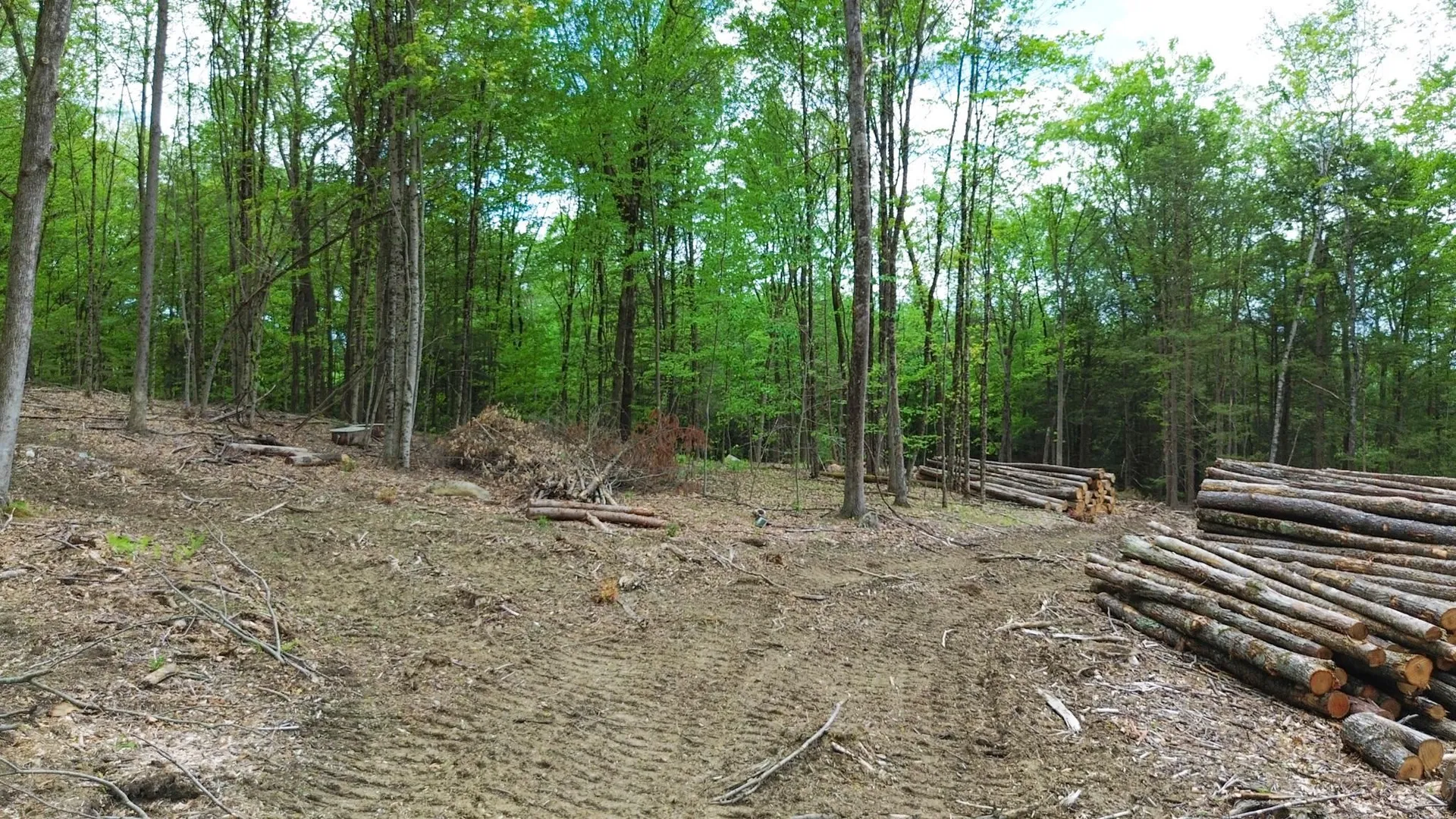 Lot 26-3 Plain Road Hinsdale NH 03451