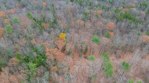 Lot 26-3 Plain Road Hinsdale NH 03451