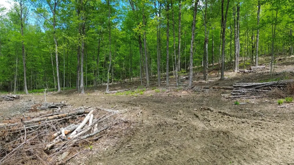 Lot 26-2 Plain Road Hinsdale NH 03451