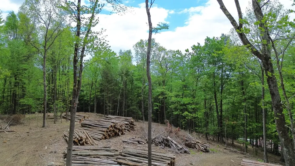 Lot 26-2 Plain Road Hinsdale NH 03451