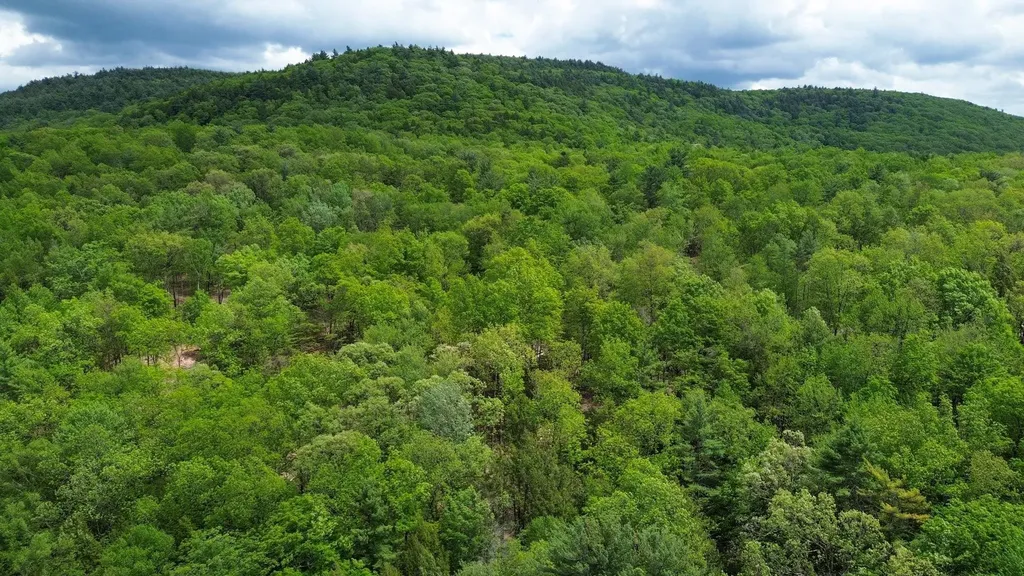 Lot 26-2 Plain Road Hinsdale NH 03451