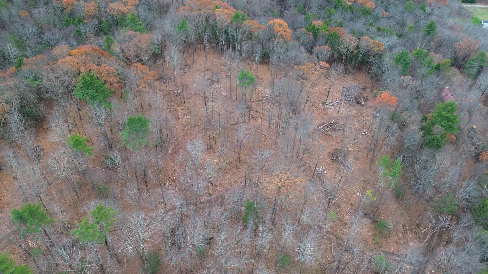 Lot 26-2 Plain Road Hinsdale NH 03451