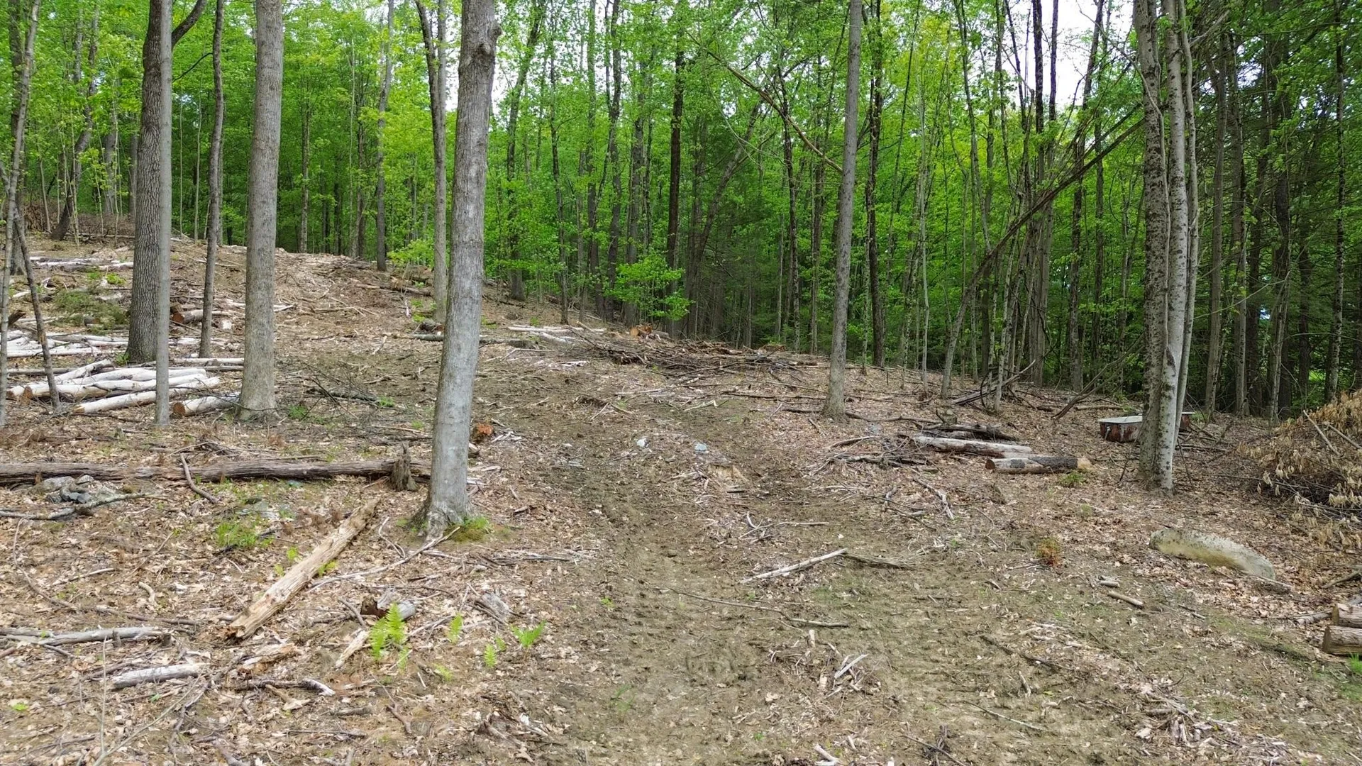 Lot 26-2 Plain Road Hinsdale NH 03451
