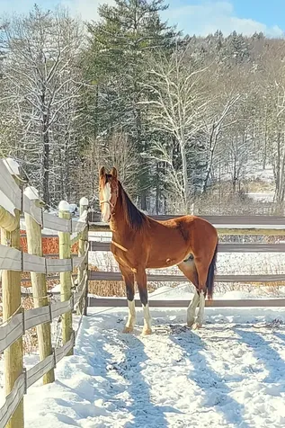 484 Old Swanzey Road Chesterfield NH 03462