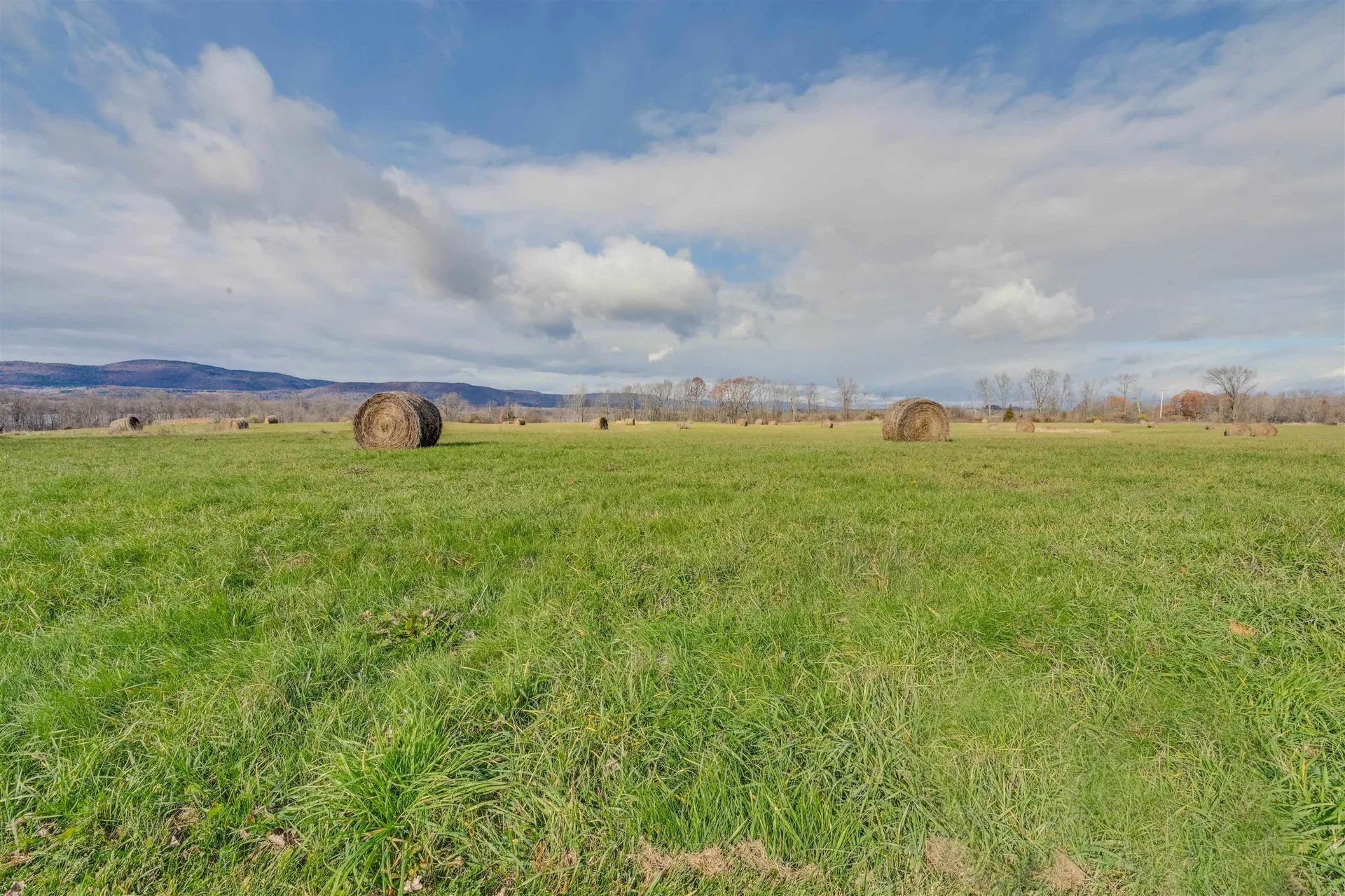 2663 Watch Point Road Shoreham VT 05770