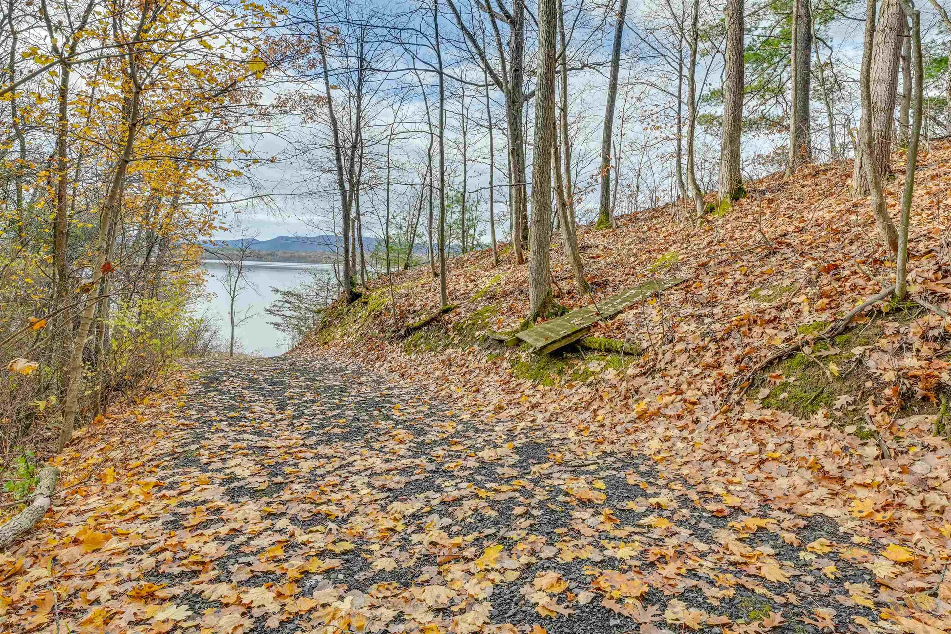 2663 Watch Point Road Shoreham VT 05770