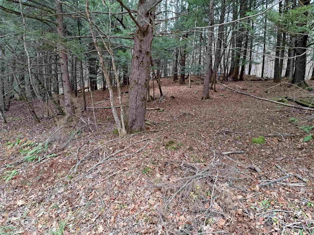 003 West Unity Road Unity NH 03743