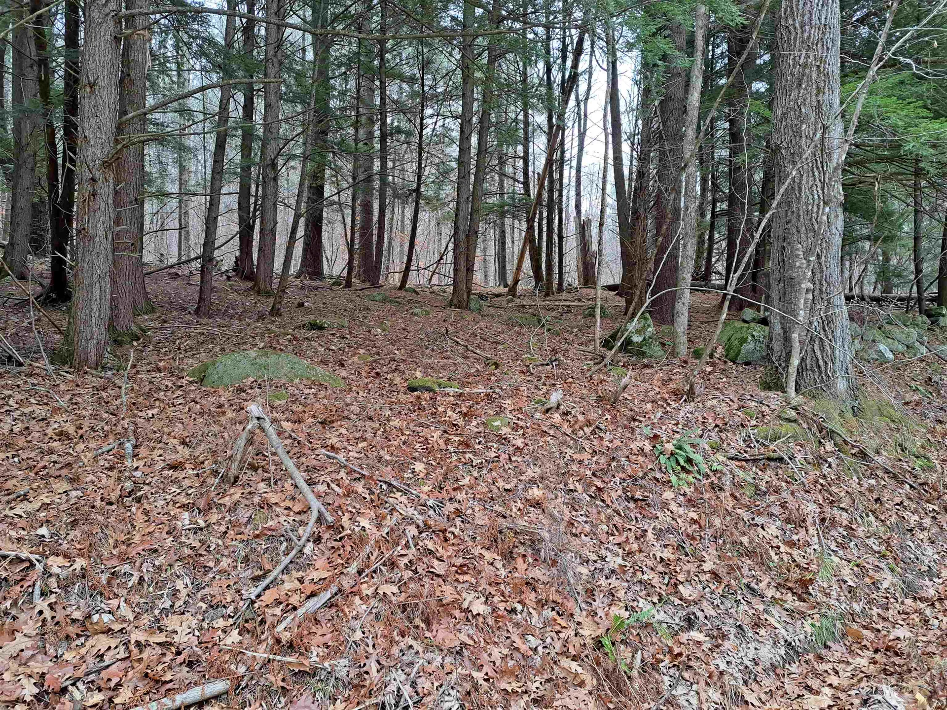 003 West Unity Road Unity NH 03743