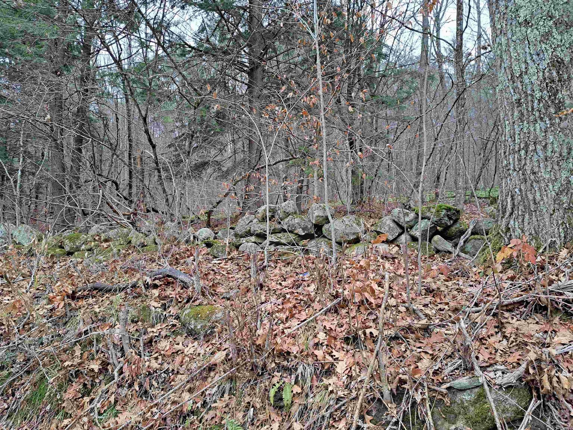 003 West Unity Road Unity NH 03743