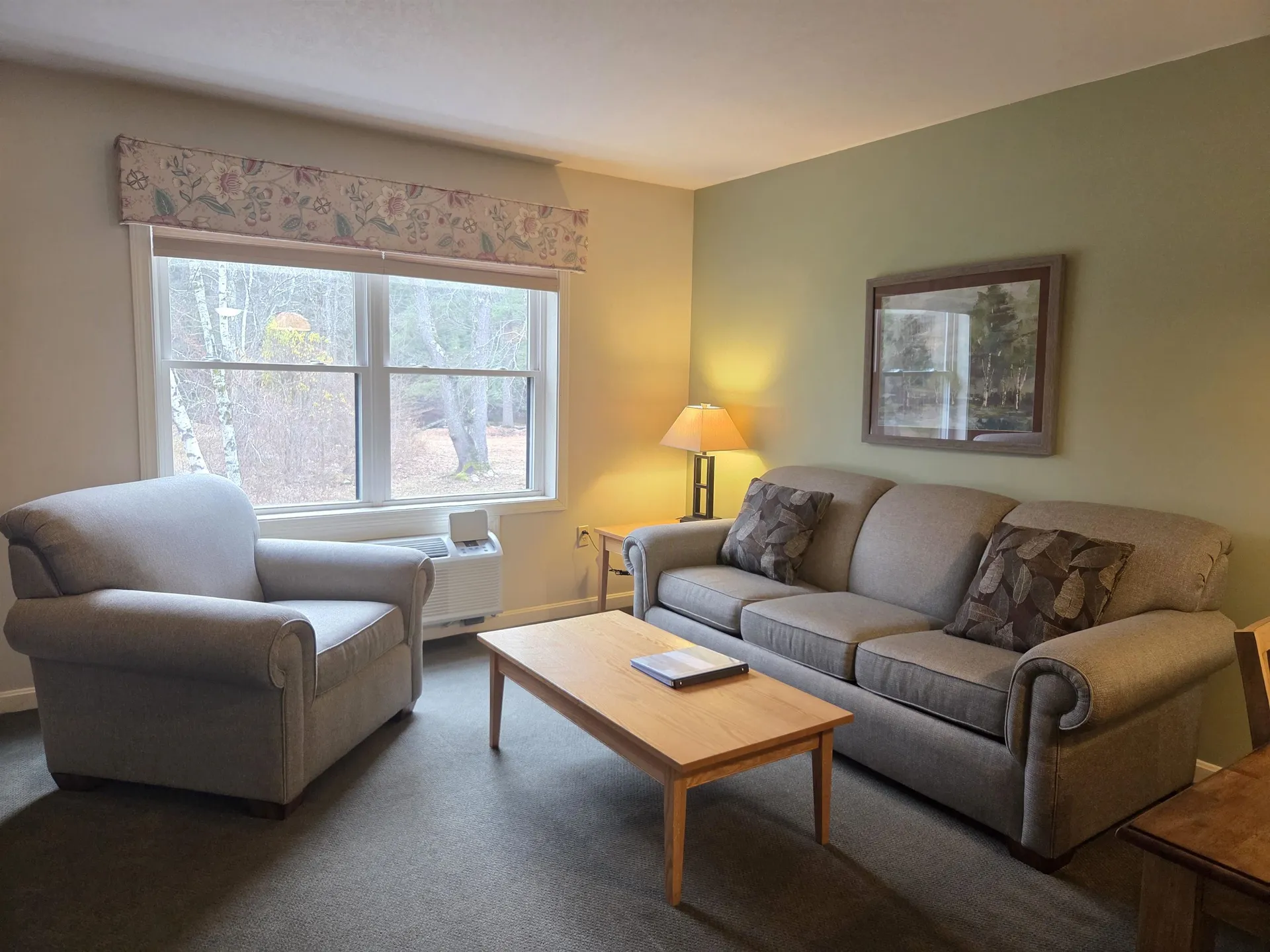 164 Deer Park Drive Woodstock NH 03262