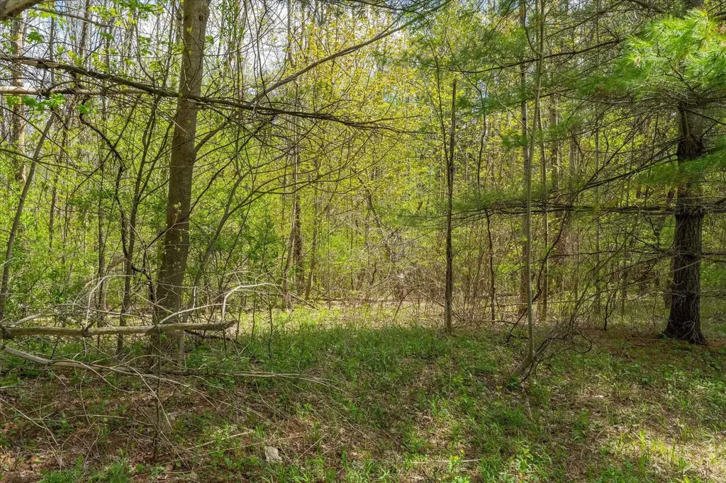 1347 Morse Hill Road Dorset VT 05253