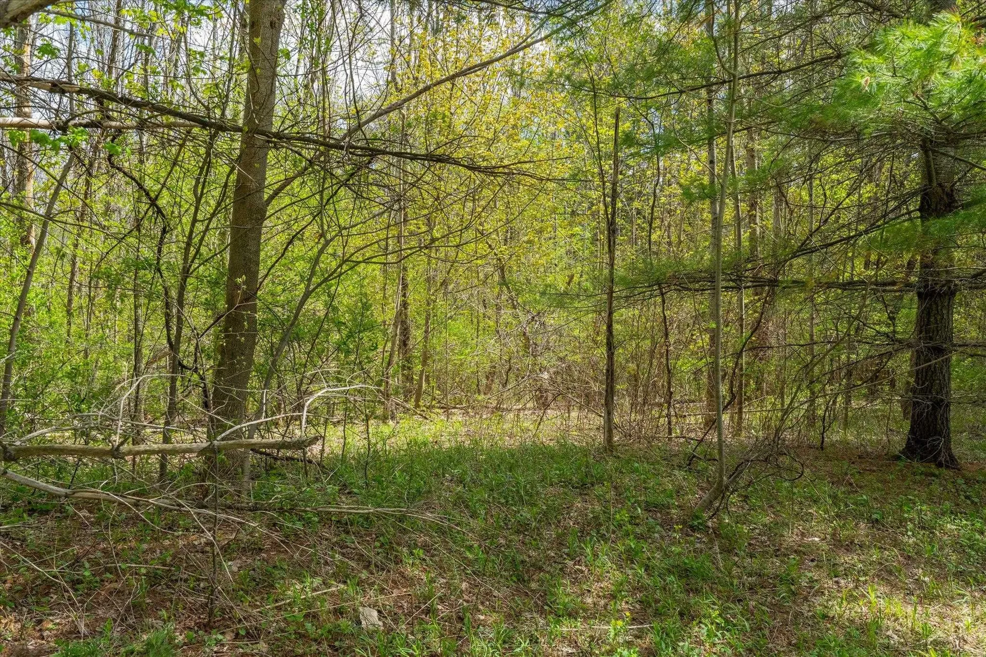 1347 Morse Hill Road Dorset VT 05253