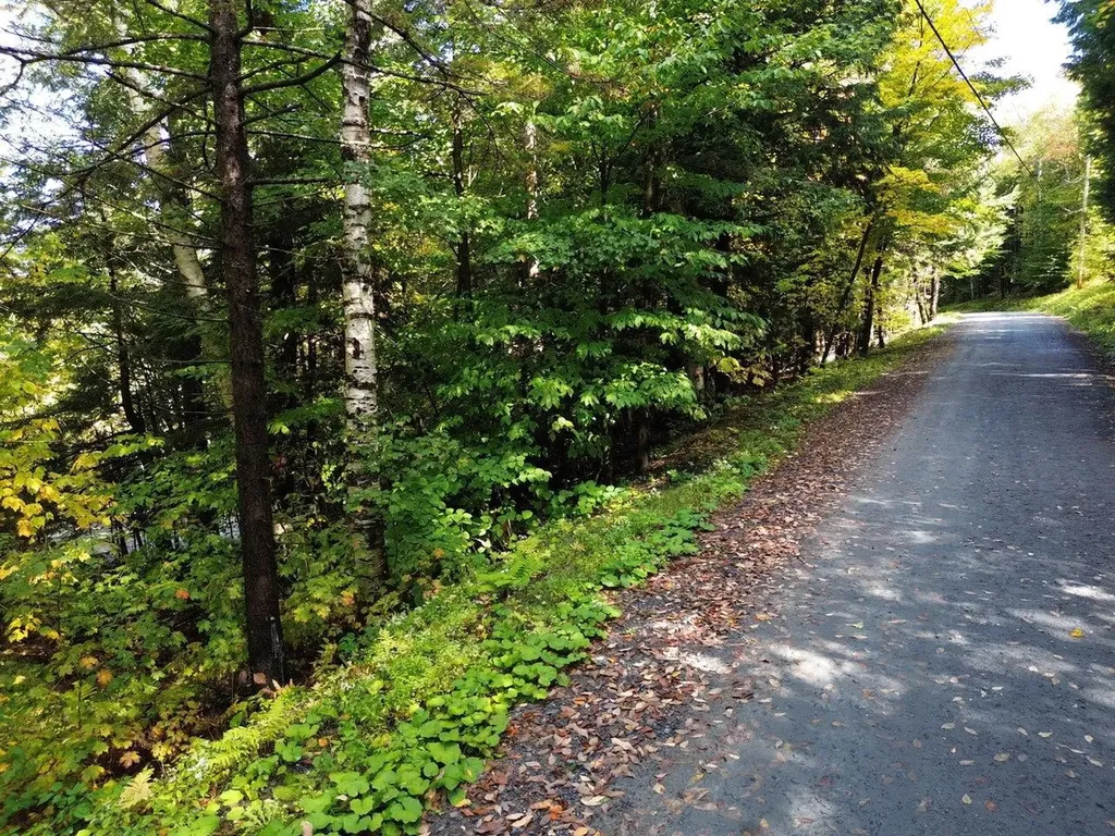 350 Anne Burns Road Warren VT 05674