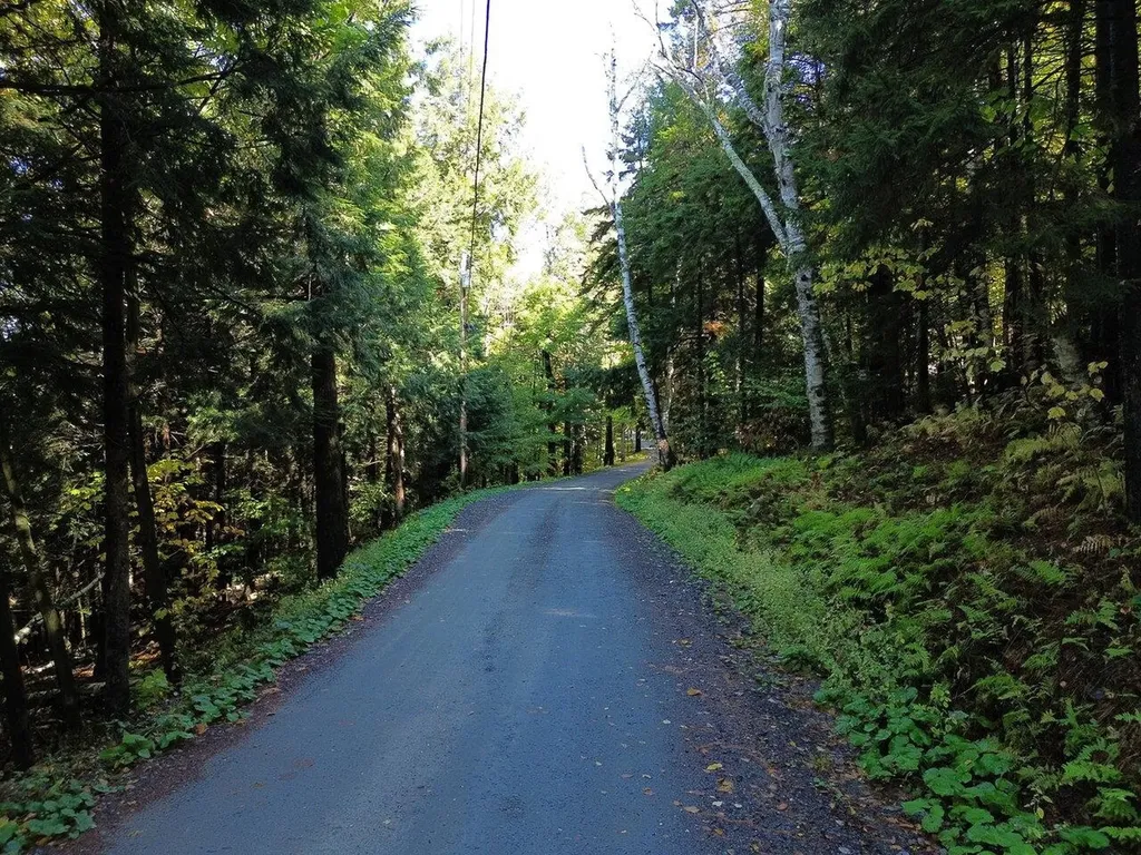 350 Anne Burns Road Warren VT 05674