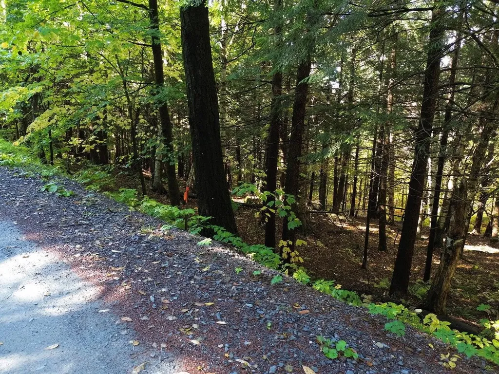 350 Anne Burns Road Warren VT 05674