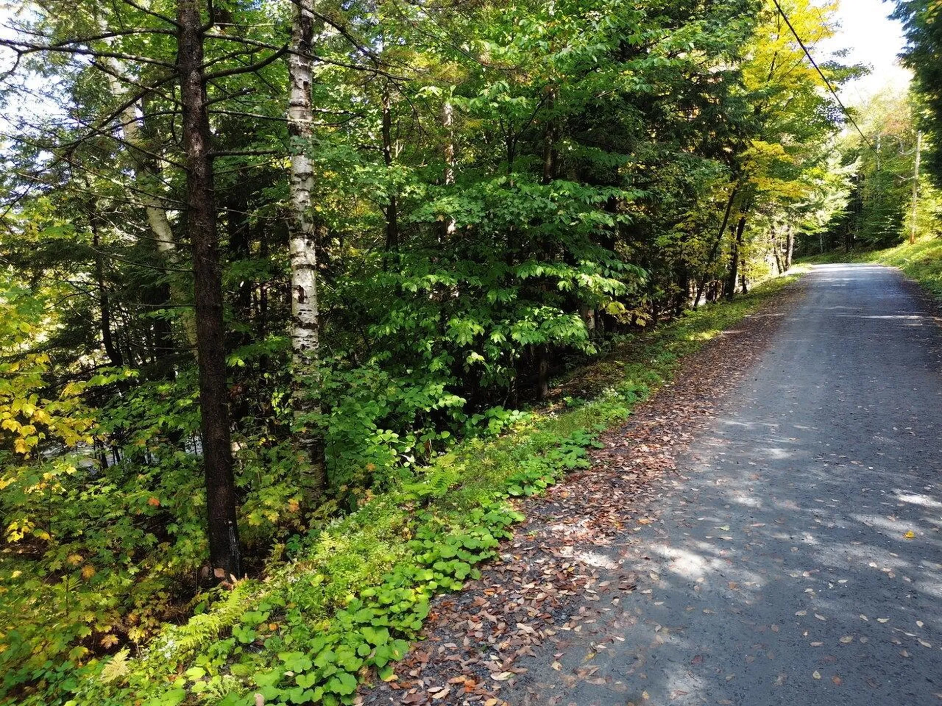 350 Anne Burns Road Warren VT 05674