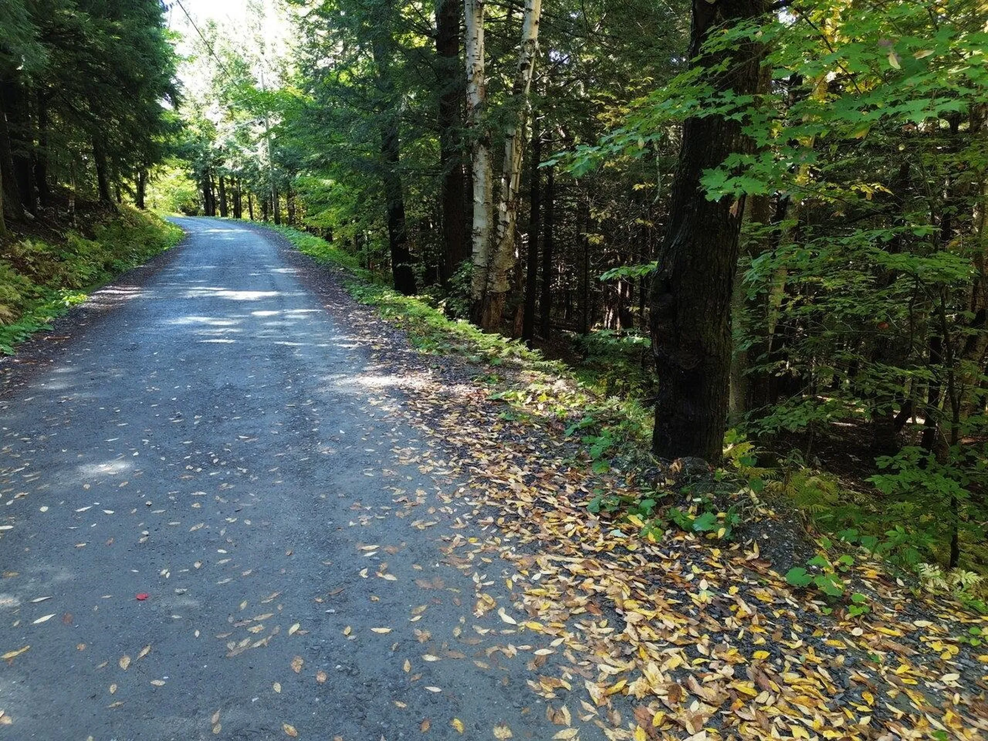 350 Anne Burns Road Warren VT 05674