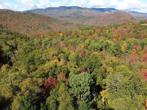 350 Anne Burns Road Warren VT 05674