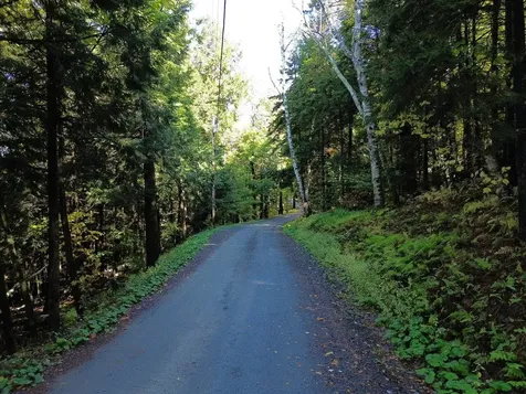 350 Anne Burns Road Warren VT 05674