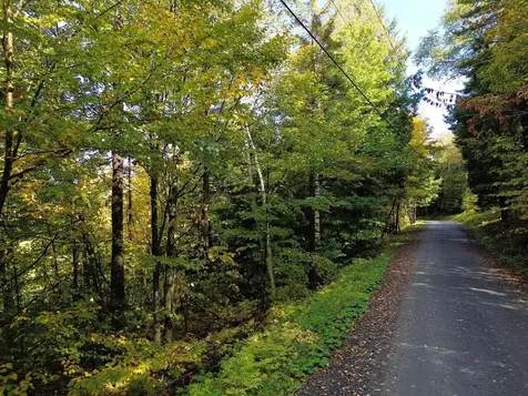 350 Anne Burns Road Warren VT 05674