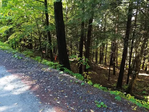 350 Anne Burns Road Warren VT 05674