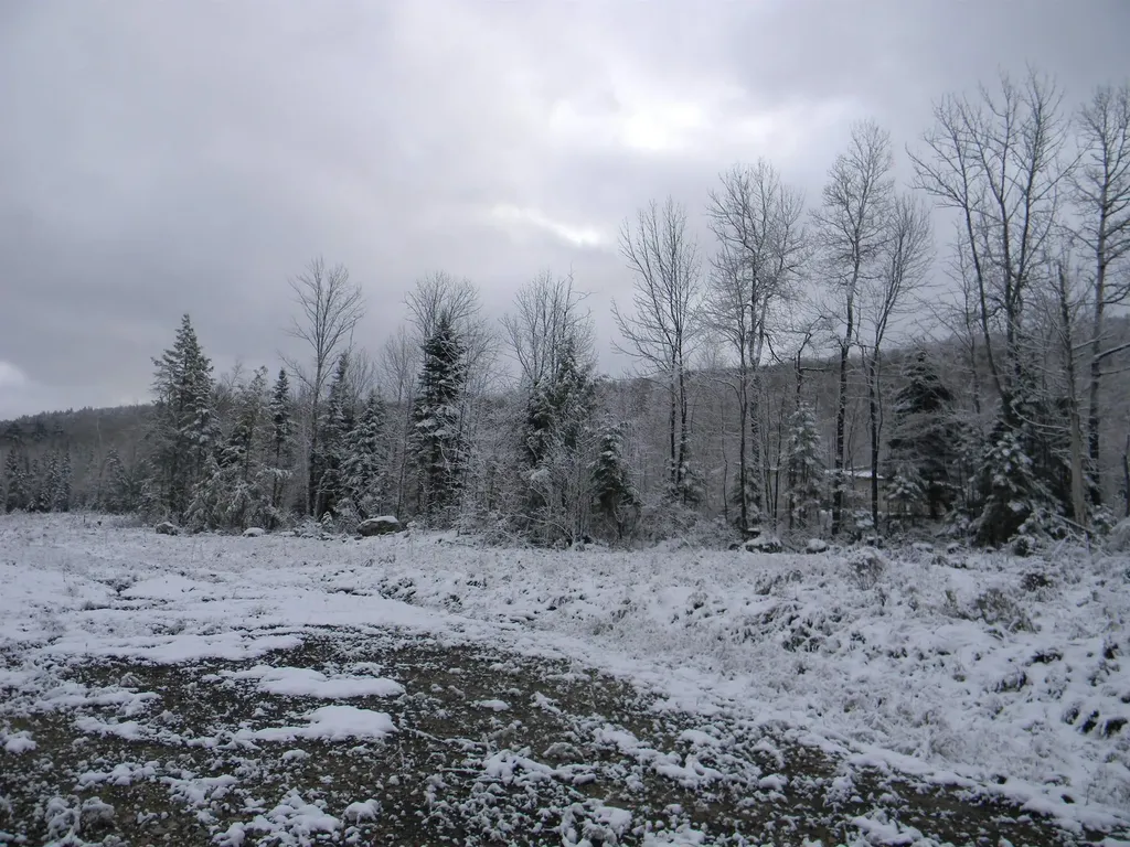 Churchill Lane Bethlehem NH 03574