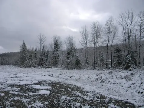 Churchill Lane Bethlehem NH 03574