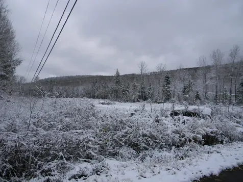 Churchill Lane Bethlehem NH 03574