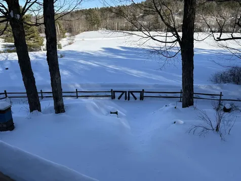 119 Shedd Road Grantham NH 03753